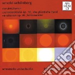 Peter Hirsch And Jo Gottschick - Arnold Schonberg Transcriptions