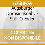 Augsburger Domsingknab. - Still, O Erden cd
