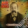 Mr. Big - The Stories We Could Tell cd