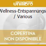 Wellness-Entspannungs- / Various cd