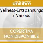 Wellness-Entspannungs- / Various cd musicale di V/A