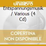 Entspannungsmusik / Various (4 Cd) cd musicale di V/A