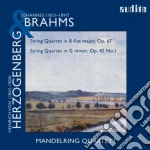 Johannes Brahms / Heinrich Von Herzogenberg - Quartetto Per Archi Op.67 cd