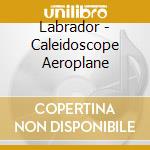 Labrador - Caleidoscope Aeroplane