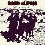 Band Of Spice - Feel Like Coming Home cd