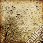(LP Vinile) Field Rotation - Regenzeit vinile