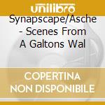 Synapscape/Asche - Scenes From A Galtons Wal
