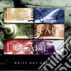 Rise And Fall Of A D - Noisy But Empty cd