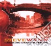 Steve Wynn - Crossing Dragon Bridge cd