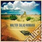 Walter Salas-Humara - Explodes And Disappears