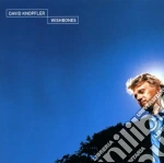 David Knopfler - Wishbones cd