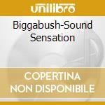 Biggabush-Sound Sensation cd musicale di BIGGABUSH