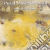 Angelo Branduardi - Musiche Da Film cd