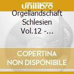 Orgellandschaft Schlesien Vol.12 - Laetabitur Cor Nostrum cd