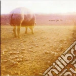 Savoy Grand - Accident Book cd