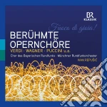 Ivan Repusic / Munchner Rundfunkorchester - Fuoco DI Gioia! Beruhmte Opernchore cd