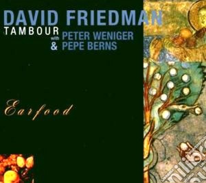 David Friedman - Tambour (earfood) cd musicale di FRIEDMAN DAVID