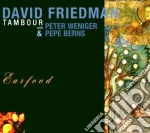 David Friedman - Tambour (earfood) cd