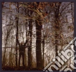 Apoptose - Bannwald cd