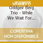 Oddgeir Berg Trio - While We Wait For A Brand New Day cd