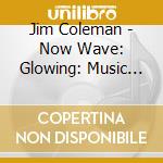 Jim Coleman - Now Wave: Glowing: Music From Beth B Exhibition cd