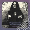 Psychedelic Witchcraft - The Vision cd