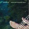 Roedelius - Wenn Der Sudwind Weht cd