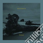 Peter Broderick - Partners cd