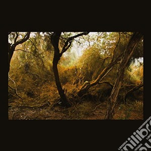 Lubomyr Melnyk - Fallen Trees cd musicale di Lubomyr Melnyk
