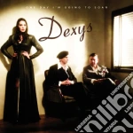 Dexys - One Day I'M Going To Soar cd
