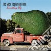 Mick Fleetwood Band (The) - Something Big cd