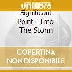 Significant Point - Into The Storm cd