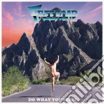 (LP Vinile) Freeroad - Do What You Feel! vinile
