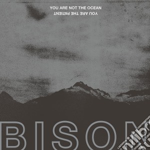 (LP Vinile) Bison - You Are Not The Ocean You Are The Patient lp vinile di Bison