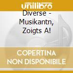 Diverse - Musikantn, Zoigts A! cd