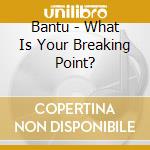 Bantu - What Is Your Breaking Point? cd