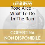 Rose,Alice - What To Do In The Rain cd musicale di Rose,Alice