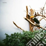 Jacob Bellens - Polyester Skin cd