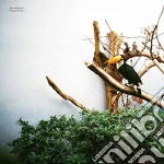 (LP Vinile) Jacob Bellens - Polyester Skin vinile