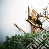 (LP Vinile) Jacob Bellens - Polyester Skin cd