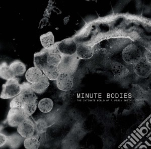 Tindersticks - Minute Bodies (2 Cd) cd musicale di Tindersticks