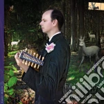 (LP Vinile) Bernhard Hofstotter: Fantasia Bellissima: The Lviv Lute Tablature vinile