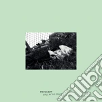 Steve Hiett - Girls In The Grass cd
