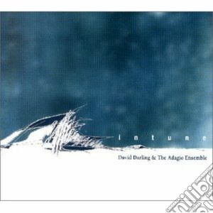 David Darling & The Adagio Ensemble - Intune cd musicale di DARLING DAVID & ADAG
