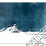 David Darling & The Adagio Ensemble - Intune cd