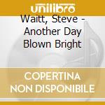 Waitt, Steve - Another Day Blown Bright cd