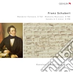 Franz Schubert - Wanderer-fantasie D 760, Moments Musicaux D 780, Sonata In Do Minore D 958 - Eickhorst Konstanze Pf cd