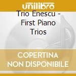 Trio Enescu - First Piano Trios cd