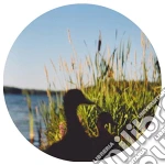 (LP Vinile) Johan Kaseta - The Erefora Land vinile