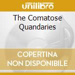 The Comatose Quandaries cd musicale di IN-QUEST